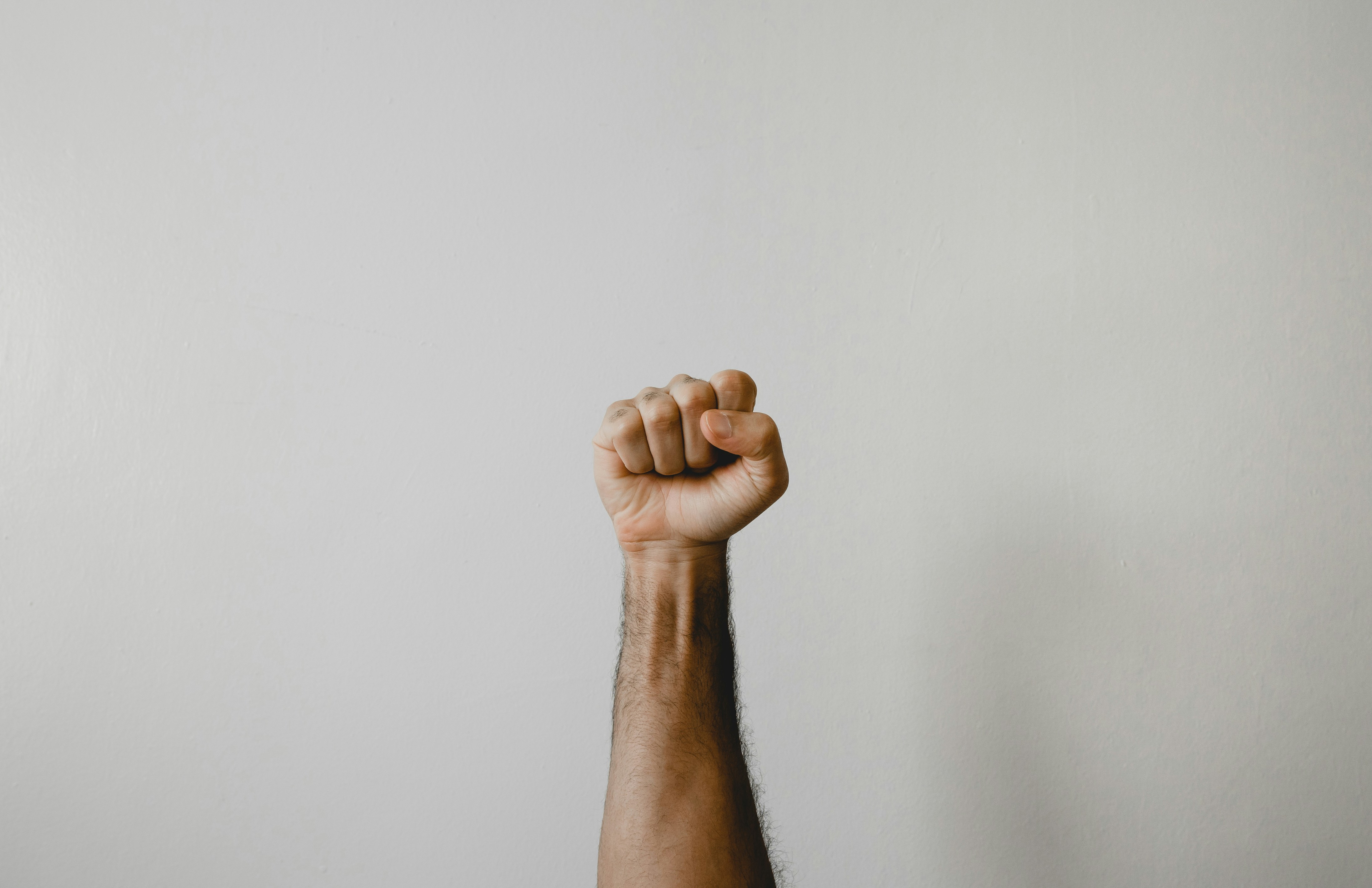 fist